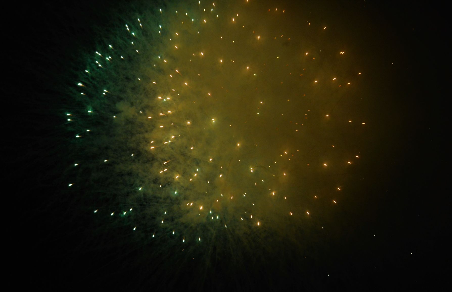 Hoppin july 5 (88).JPG